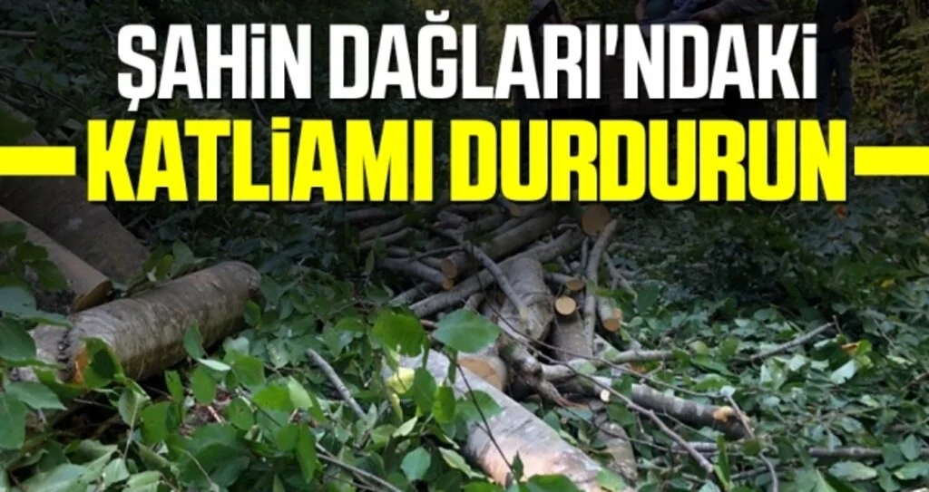 Şahin Dağları'ndaki Katliamı Durdurun