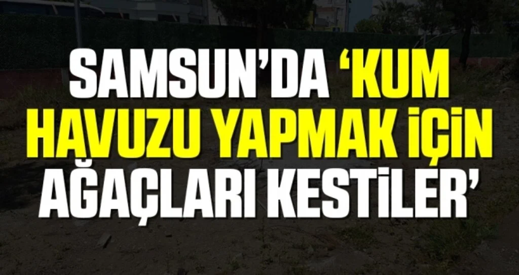 SAMÇEP Sözcüsü Mehmet Özdağ: Kum Havuzu Yapmak İçin Ağaçları Kestiler