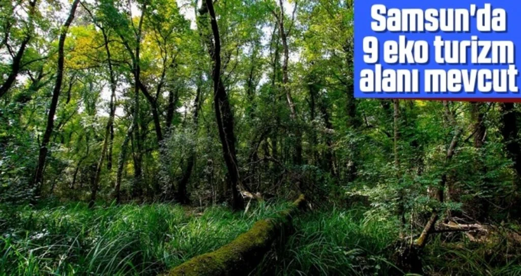 Samsun'da 9 eko turizm alanı mevcut