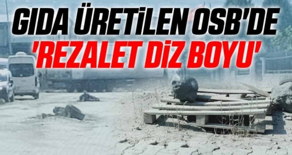 Samsun'da Gıda üretilen OSB'de 'REZALET DİZ BOYU'