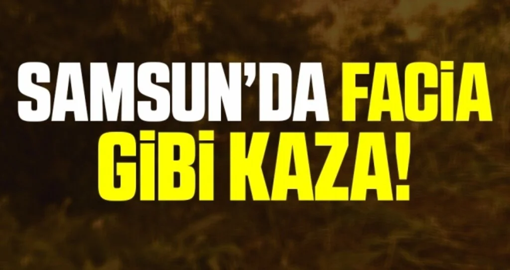 Samsun'da Otomobil Fındık Tarlasına Uçtu: 4'ü Çocuk 8 Yaralı