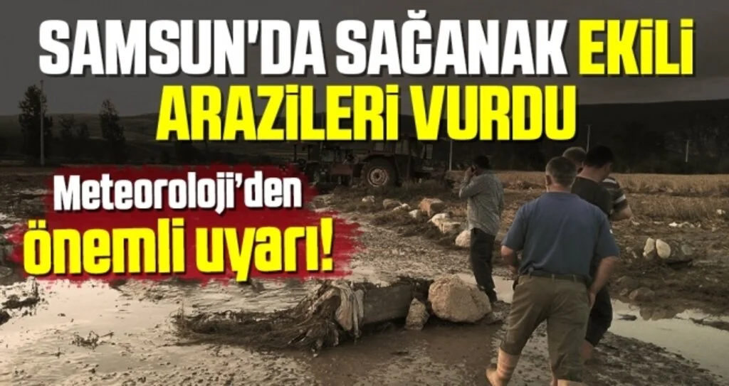 Samsun'da Sağanak Ekili Arazileri Vurdu