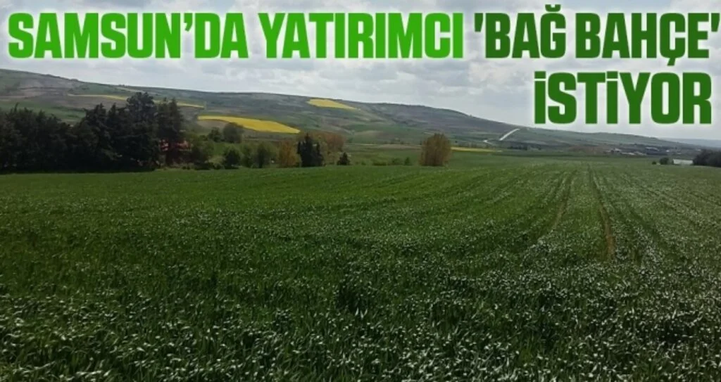Samsun'da Yatırımcı 'Bağ Bahçe' İstiyor