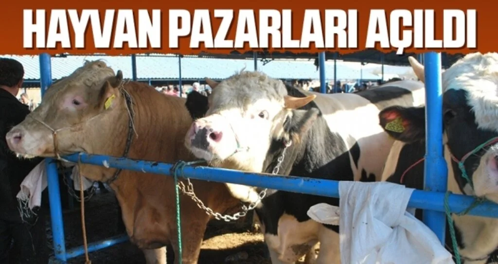 Samsun'daki hayvan pazarları açıldı