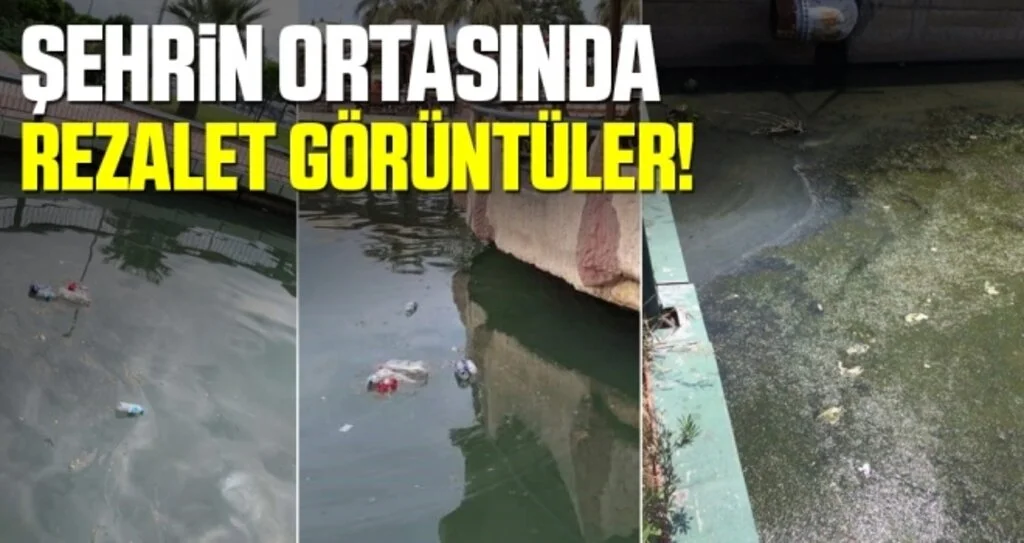 Şehrin Ortasında Rezalet Görüntüler!