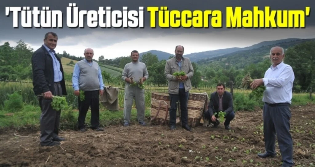 'Tütün Üreticisi Tüccara Mahkum'