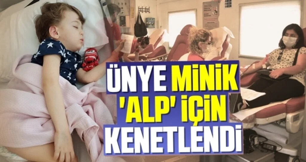 Ünye Minik 'Alp' İçin Kenetlendi