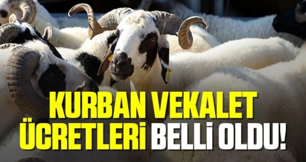 Vekalet yoluyla kurban kesim bedelleri açıklandı