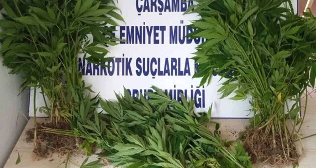 Zehir tacirleri karı koca çıktı!