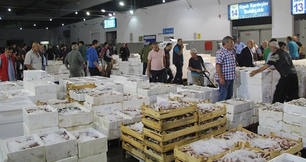 10 Bin Ton Hamsi Tüketildi