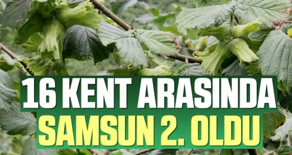 16 kent arasında Samsun 2. oldu