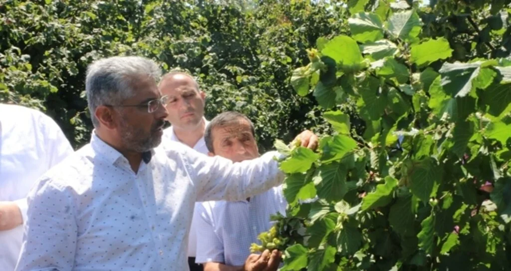 AK Parti Samsun İl Başkanı Ersan Aksu: Fındık Fiyatı Yüz Güldürdü