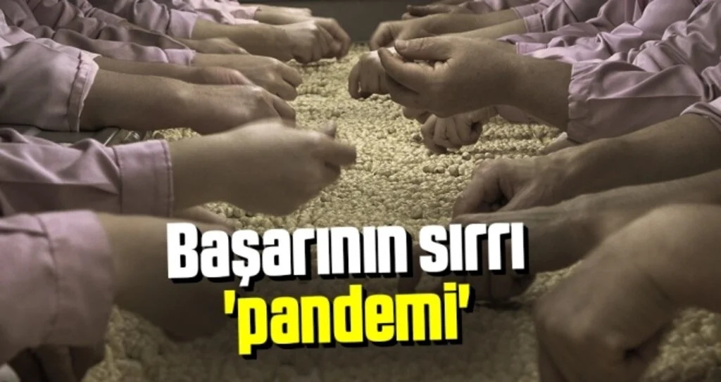 Başarının Sırrı 'Pandemi'
