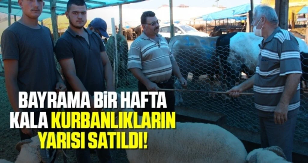 Bayrama bir hafta kala kurbanlıkların yarısı satıldı