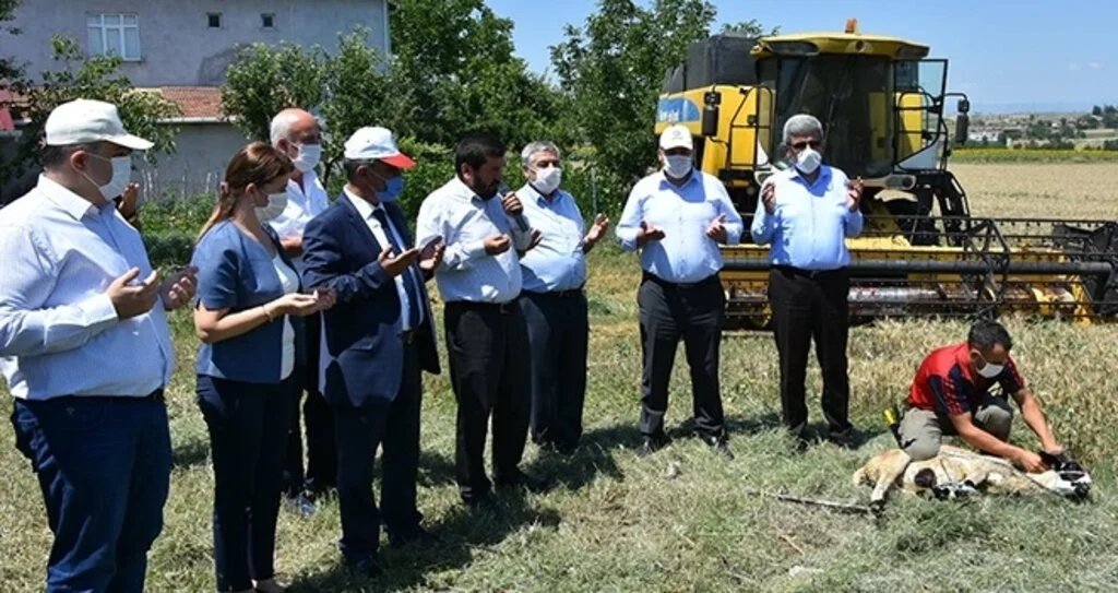 'Belgesi Olmayanı Tarlanıza Sokmayın'