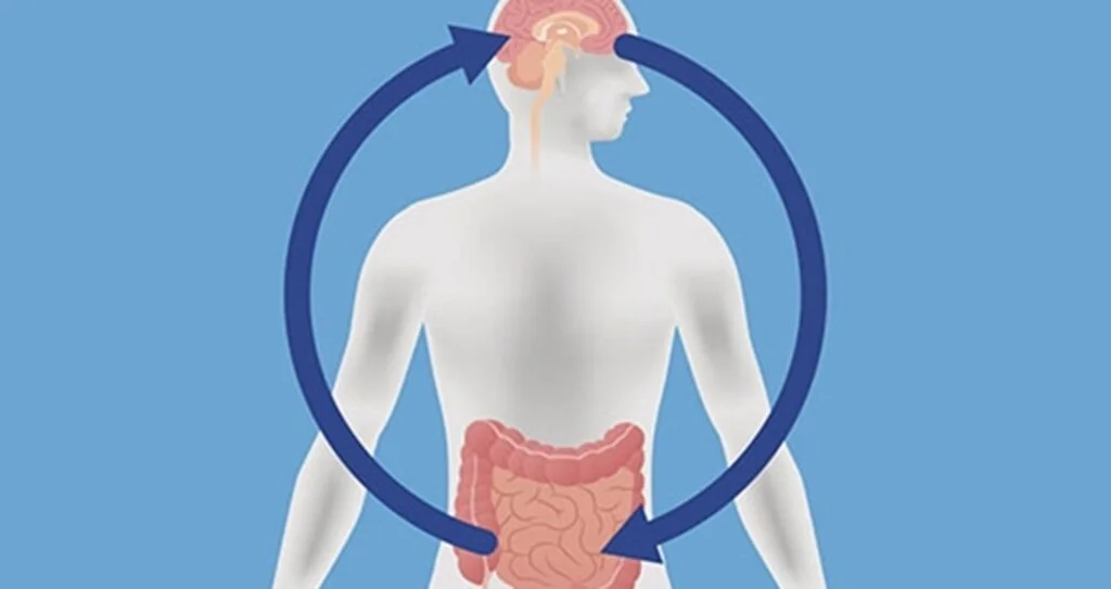 'Bütün Hastalıklar Bağırsakta Başlar'