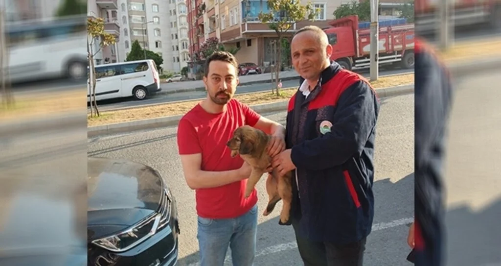 Can dostlar yeni yuvalarında
