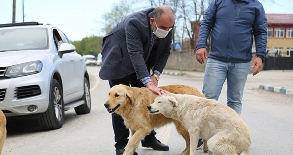 Canik’te Can Dostlar Emin Ellerde