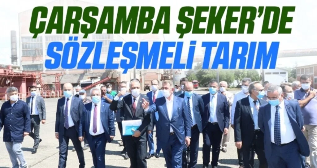 Çarşamba Şeker’de Sözleşmeli Tarım