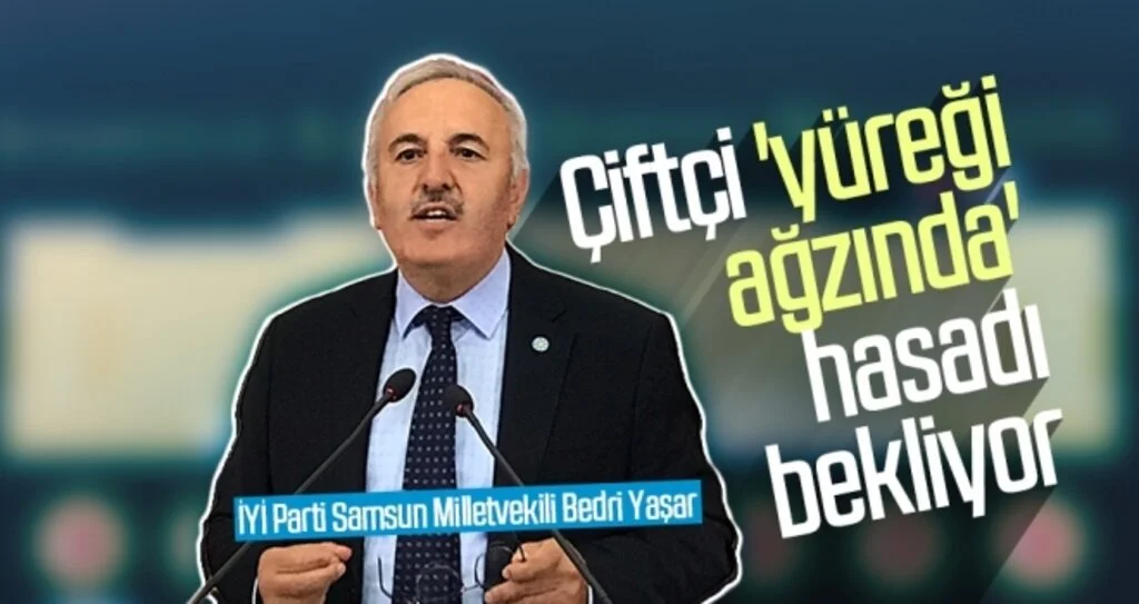 Çiftçi 'yüreği ağzında' hasadı bekliyor