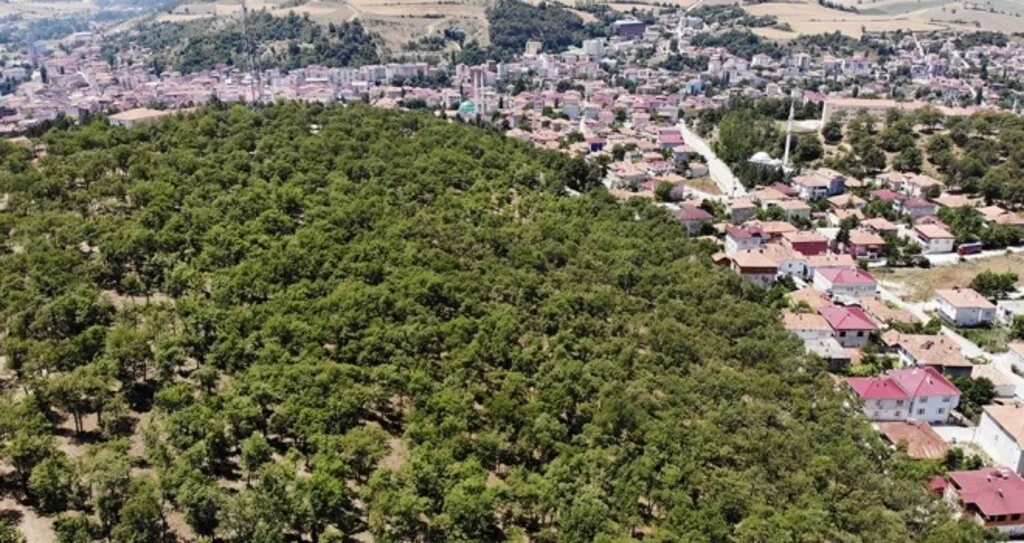 Doğaya ‘kılavuz’ olacak