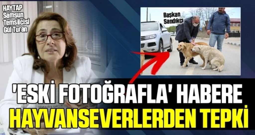 'Eski Fotoğrafla' Habere Hayvanseverlerden Tepki