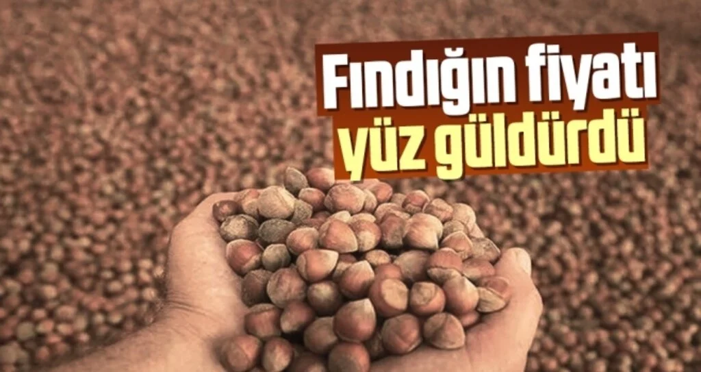 Fındığın Fiyatı Yüz Güldürdü