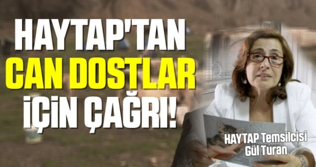 HAYTAP'tan Başkan Sandıkçı'ya eleştiri