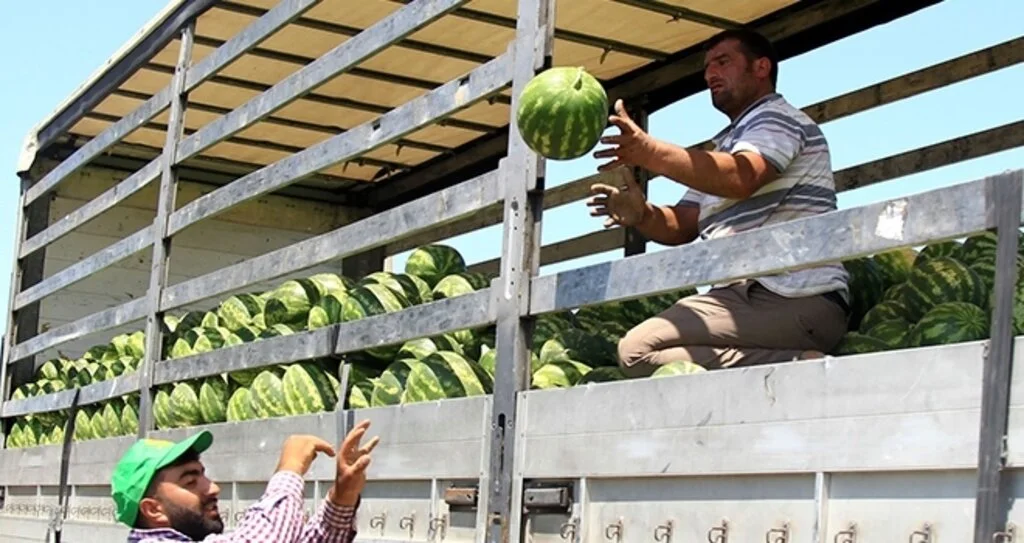 Her gün 40 TIR karpuz yükleniyor