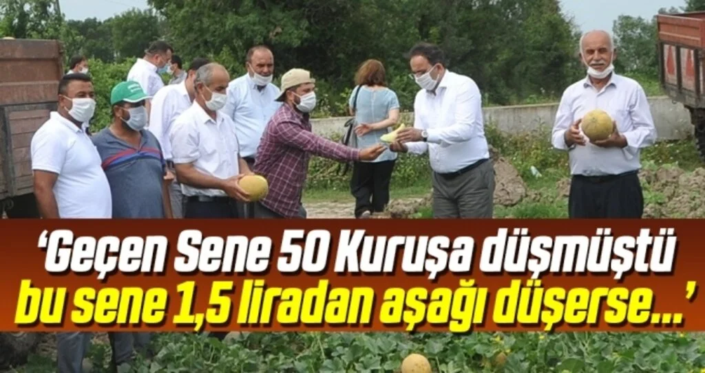 Kavun Çiftçisi 1,5 Lira Bekliyor