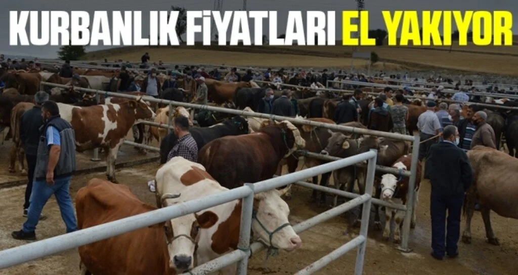 Kurbanlık Fiyatları El Yakıyor