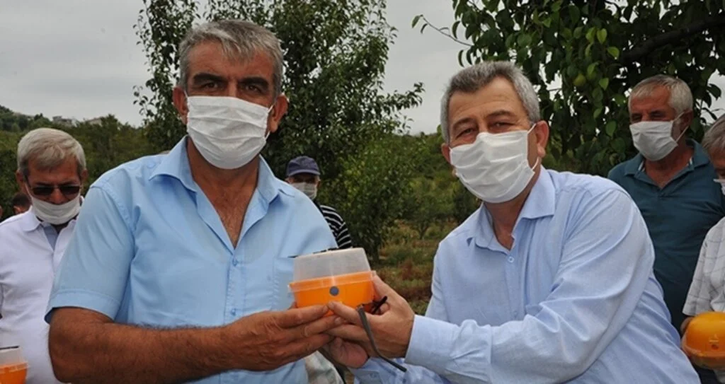Meyve üreticisine 'sinek tuzağı' desteği