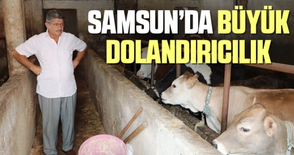 Samsun Dahil 3 İlde Hayvan Dolandırıcılığı