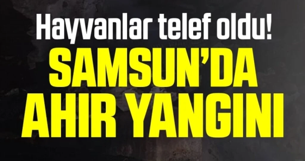 Samsun'da Ahır Yangını! Hayvanlar Telef Oldu