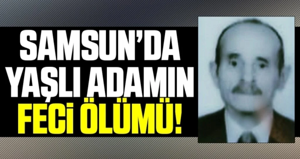 Samsun'da Erik ağacından düşen yaşlı adam hayatını kaybetti