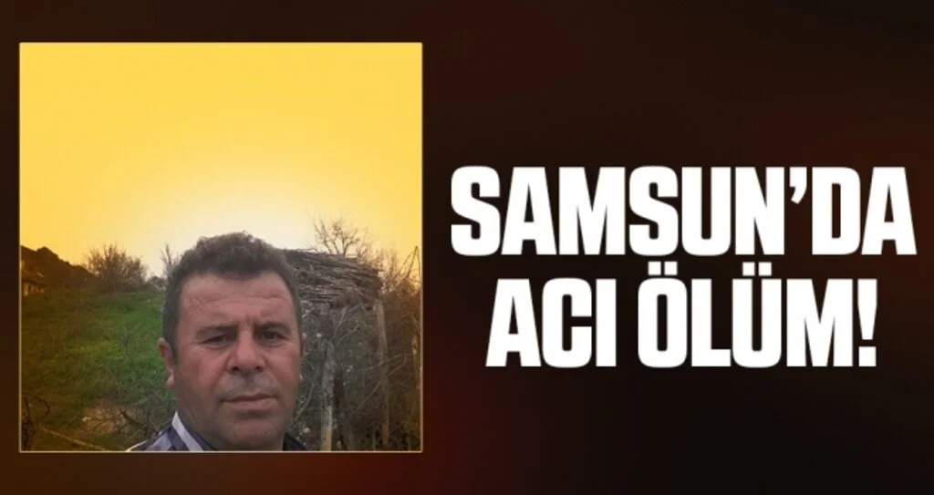 Samsun'da Kestiği ağacın altında kalan şahıs hayatını kaybetti