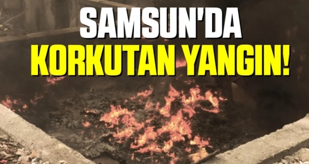 Samsun'da Korkutan Yangın!