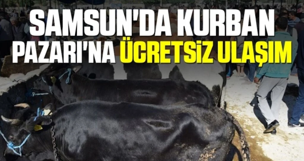 Samsun'da Kurban Pazarı'na ücretsiz ulaşım