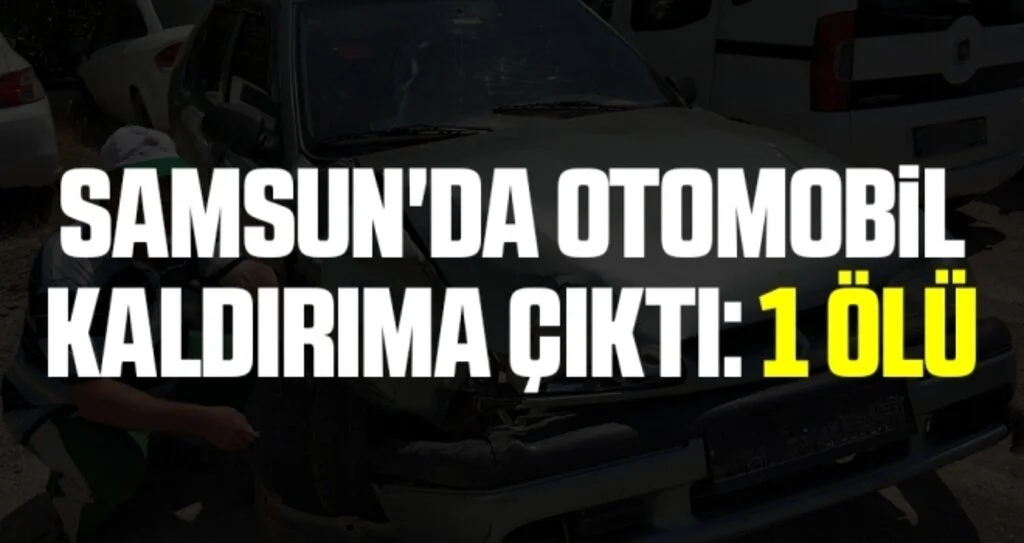 Samsun'da otomobil kaldırıma çıktı: 1 ölü