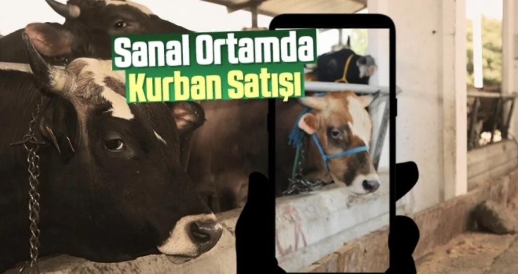 Sanal Ortamda Kurban Satışı
