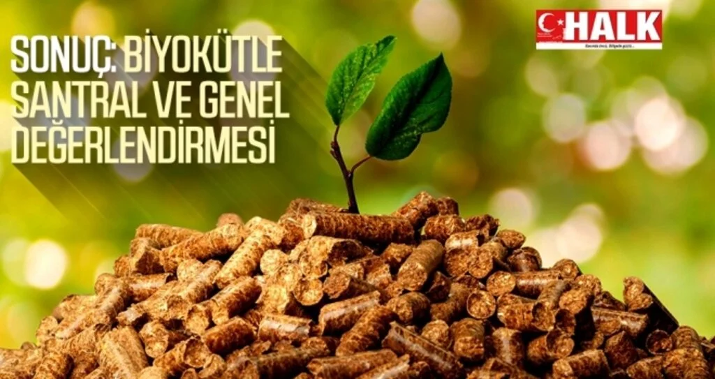 SONUÇ: BİYOKÜTLE SANTRAL VE GENEL DEĞERLENDİRMESİ