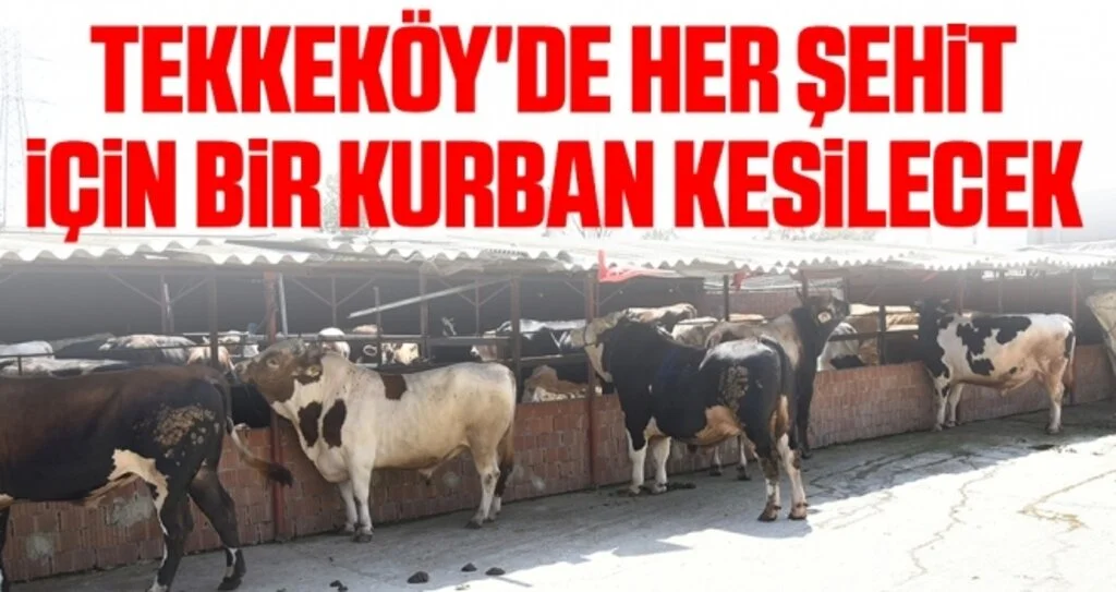 Tekkeköy'de her şehit için bir kurban kesilecek 