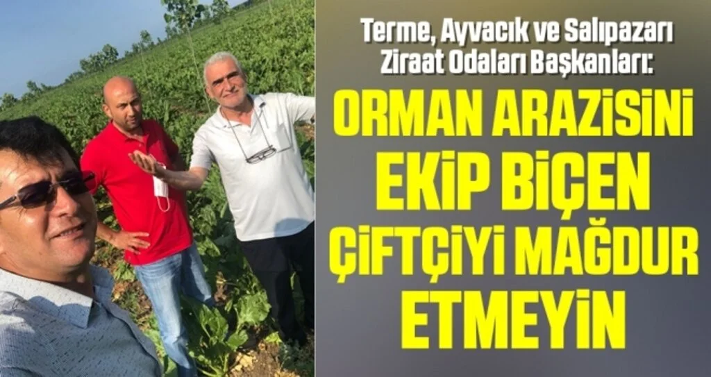 Terme, Ayvacık ve Salıpazarı Ziraat Odaları Başkanları: Orman arazisini ekip biçen çiftçiyi mağdur etmeyin