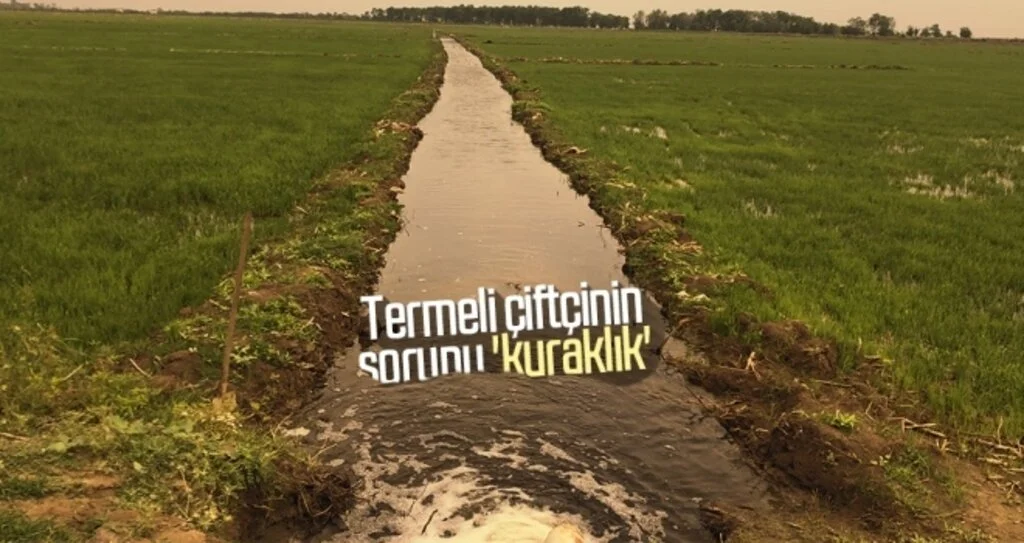 Termeli çiftçinin sorunu 'kuraklık'