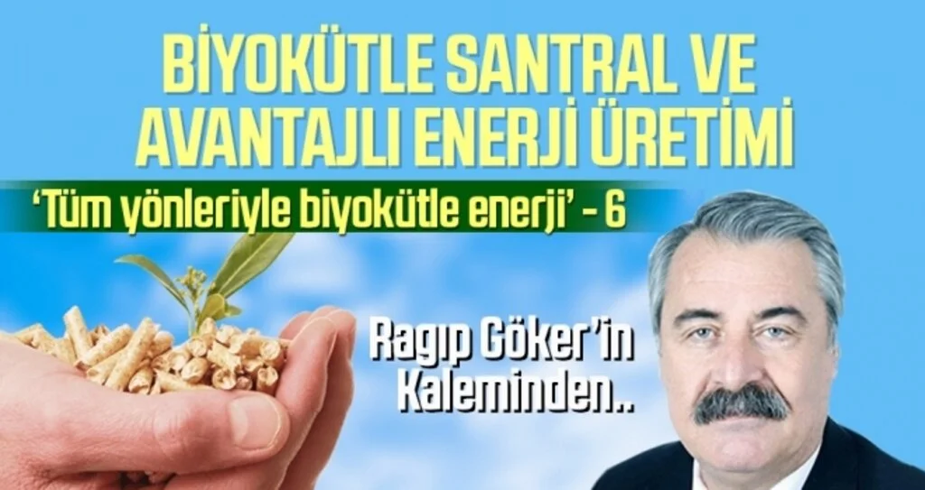Tüm Yönleriyle Biyokütle Enerji (6) Ragıp GÖKER’in Kaleminden
