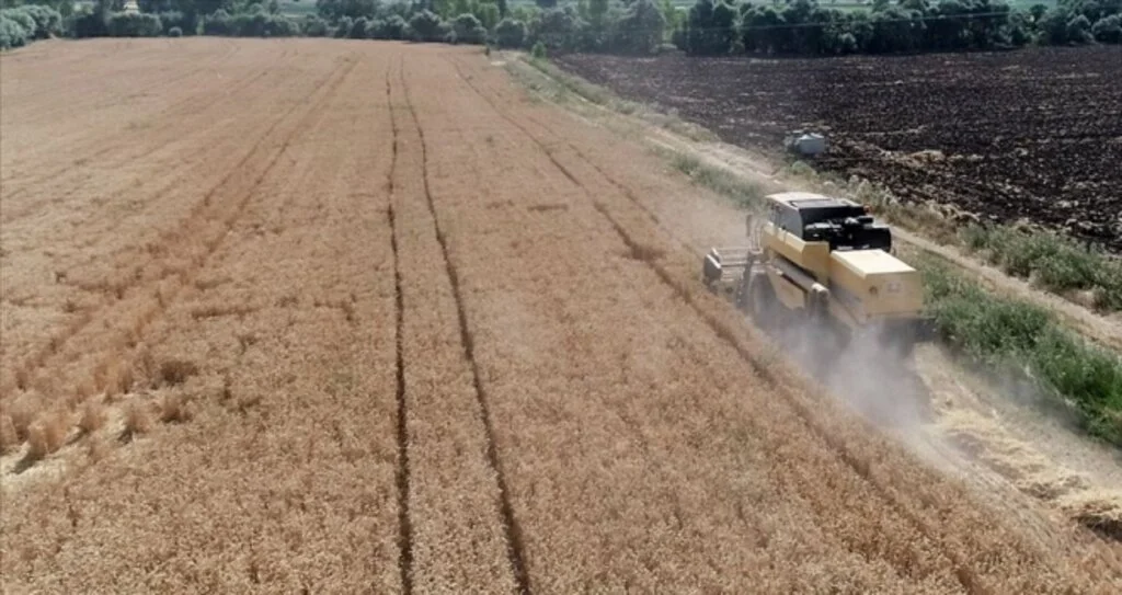 Üreticilere yüzde 75 hibe desteğiyle 6 bin 100 ton tohum dağıtıldı