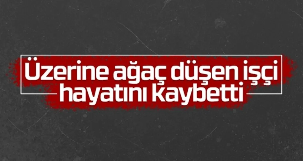 Üzerine ağaç düşen işçi hayatını kaybetti