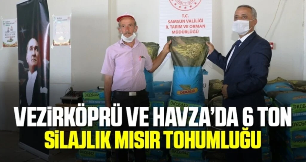 Vezirköprü ve Havza’da 6 ton silajlık mısır tohumluğu dağıtıldı