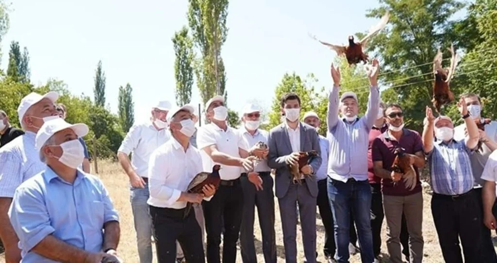 61 kişinin ölümüne neden olan keneleri yok etmek için yetiştirildiler
