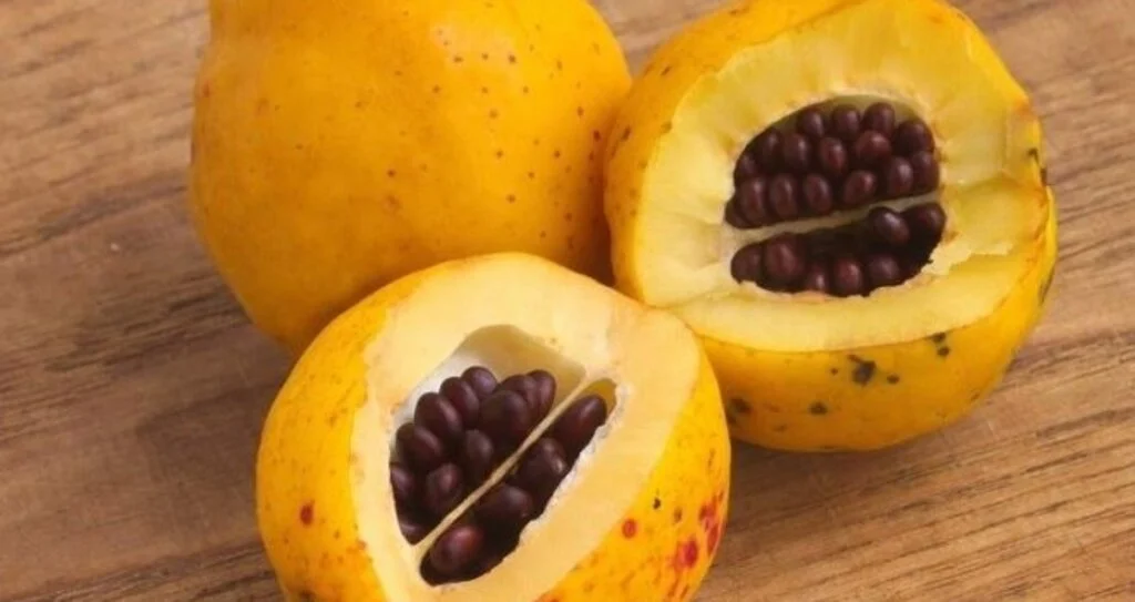 Ayva çekirdeğinin faydaları nelerdir? Ayva çekirdeği neye iyi geliyor?